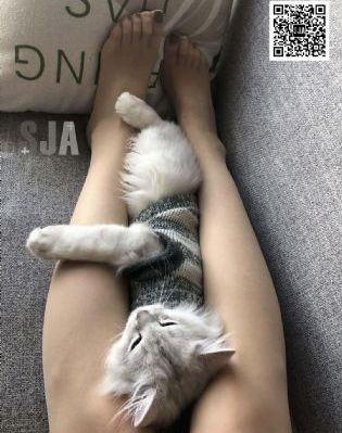 国产高清在线无码_BD韩语手机在线观看